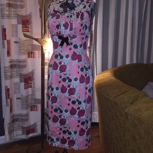 Pinup Girl Clothing Dress!